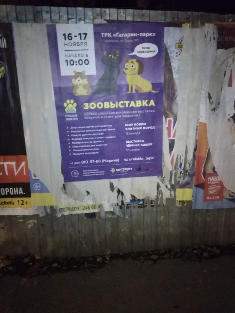 Расклейка плакатов в Челябинске